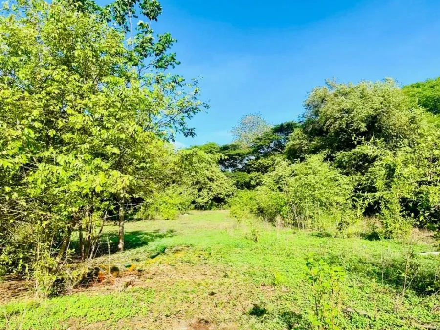Build Your Dream in La Garita Nueva, Near Tamarindo - Venta en Tamarindo, photo 7