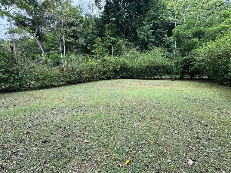 Riverfront Oasis on the Barú River Playa Dominical, photo 2