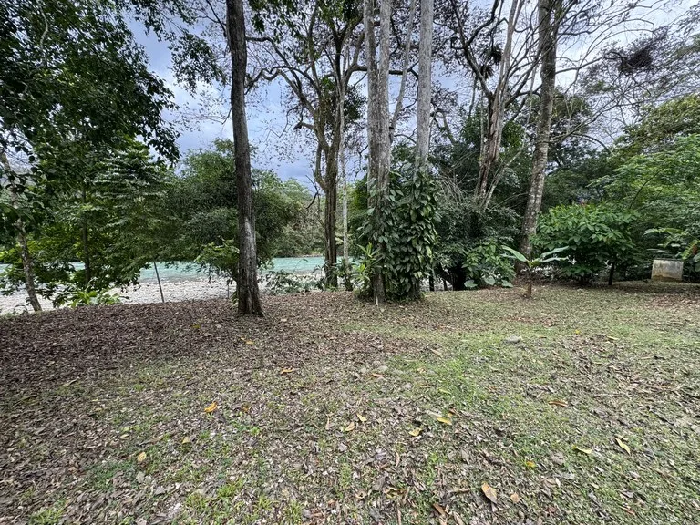 Riverfront Oasis on the Barú River Playa Dominical, photo 3