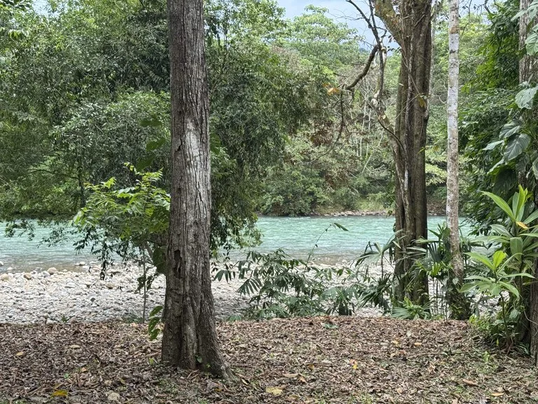 Riverfront Oasis on the Barú River Playa Dominical, photo 5