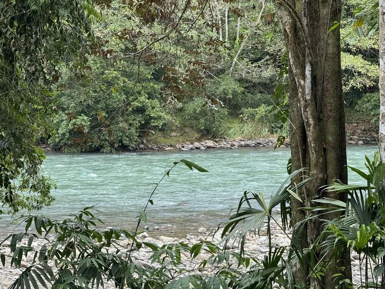 Riverfront Oasis on the Barú River Playa Dominical, photo 8