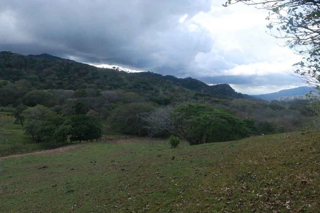 LOTE en Venta en San Isidro de Potrerillos, Mora, photo 2