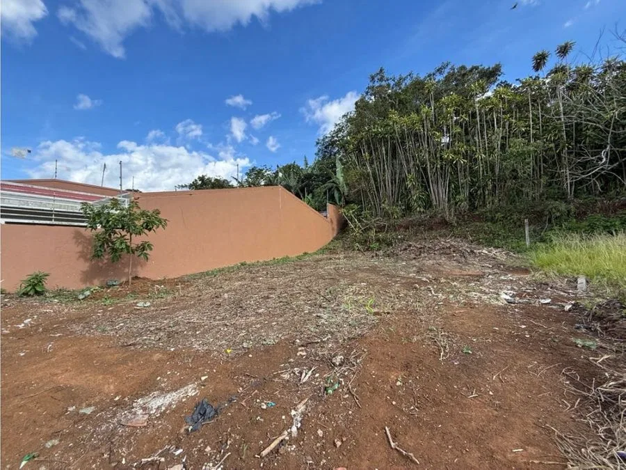 Venta de lote en Buenos Aires de Palmares, photo 4