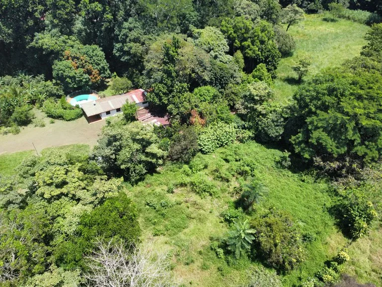 House in Turrubares, photo 10