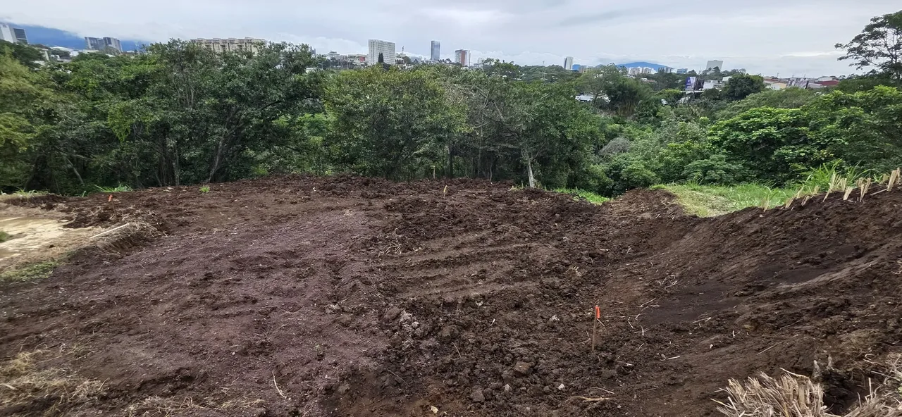 Excelente oportunidad para construir una residencia amplia o desarrollar un proyecto de inversión dentro de un ..., photo 4