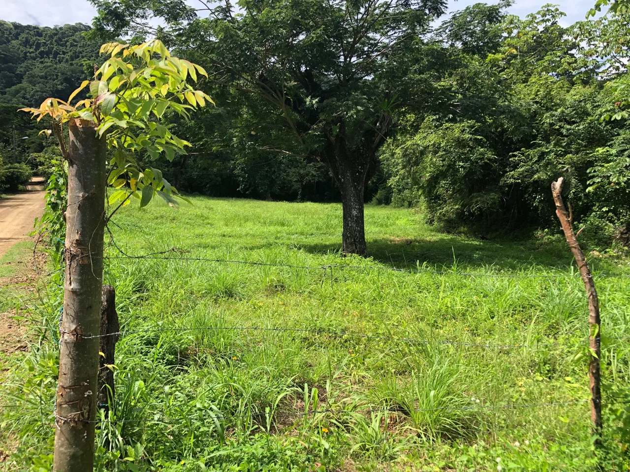 5000M2 lot ready to build. 3.5 Miles from Los Suenos Resort REDUCED REDUCED REDUCED | Costa Rica Real Estate | Jaco Realty