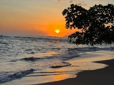 Terreno residencial de primera categoría en Cahuita: ¡Construya la casa de sus sueños en el paraíso!