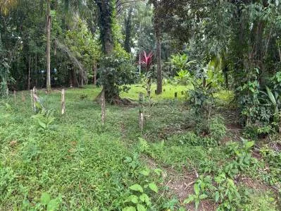 Terreno residencial de primera categoría en Cahuita: ¡Construya la casa de sus sueños en el paraíso!, photo 2