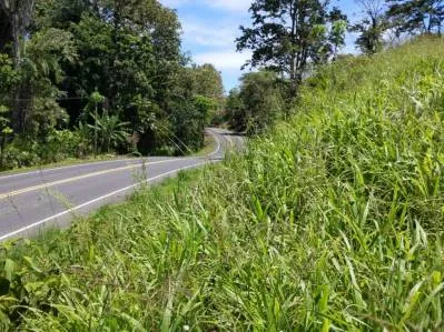 Propiedad titulada en Annia en Ruta 36, photo 7