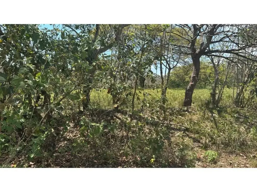 Large Development Property for Sale – Hacienda Vieja, Orotina, photo 11