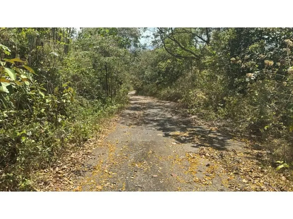 Large Development Property for Sale – Hacienda Vieja, Orotina, photo 12