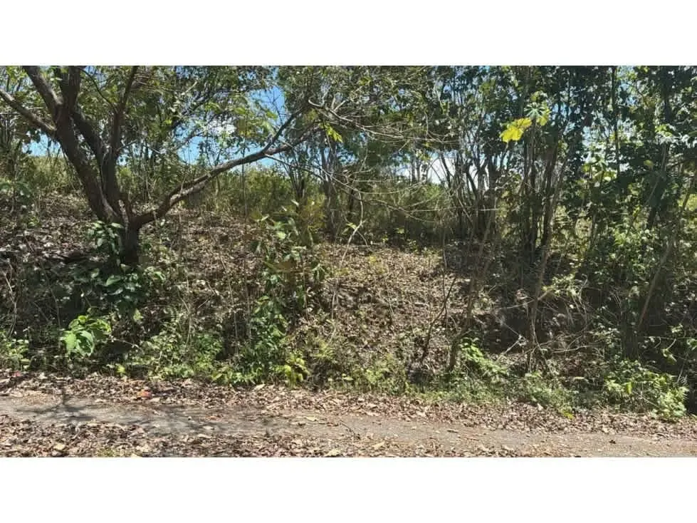 Large Development Property for Sale – Hacienda Vieja, Orotina, photo 6