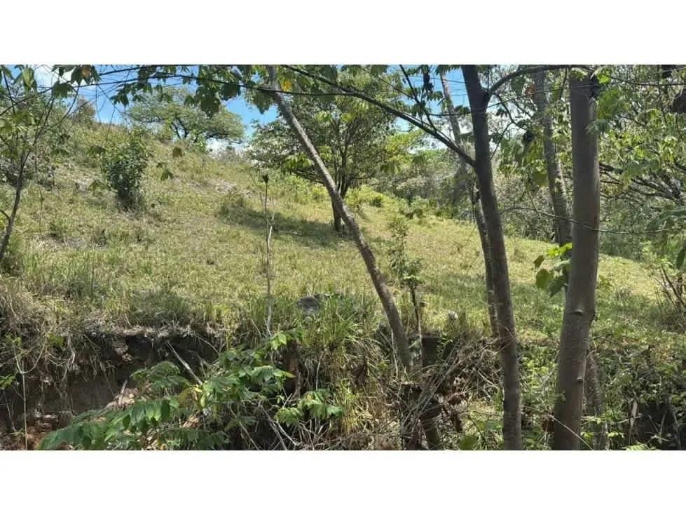 Large Development Property for Sale – Hacienda Vieja, Orotina, photo 7