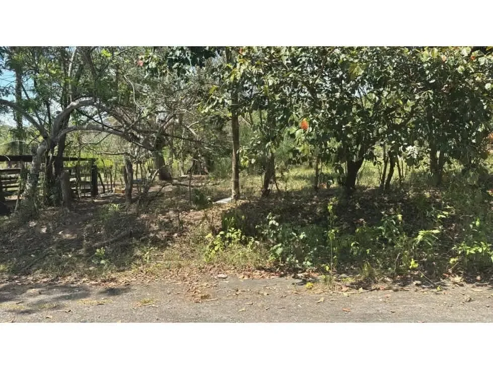 Large Development Property for Sale – Hacienda Vieja, Orotina, photo 8