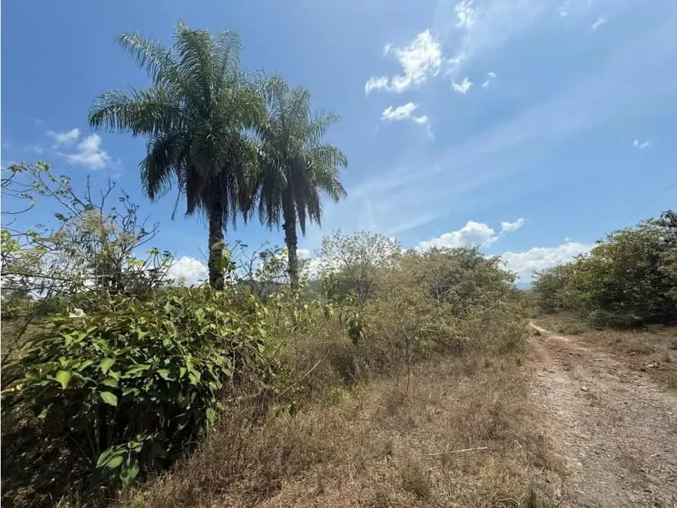 Large Development Property for Sale – Hacienda Vieja, Orotina, photo 10
