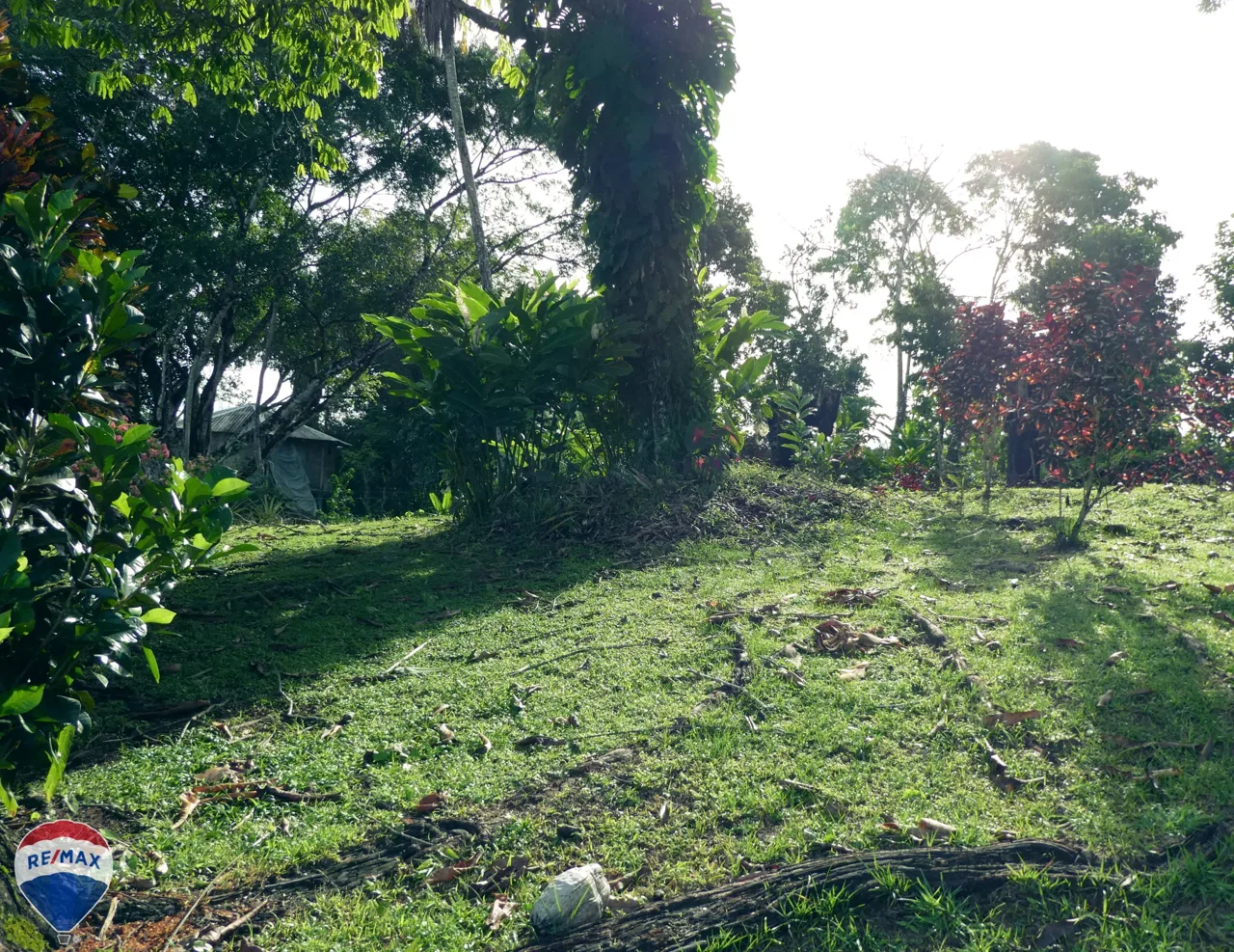 Majestic Mountain View Finca - RE/MAX Jungle Properties, photo 3