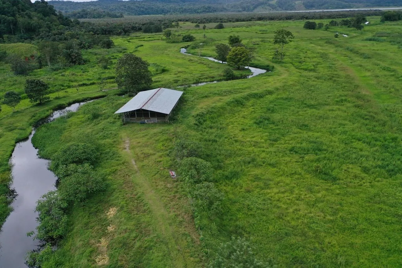 133-Hectare Farm for Sale – Salamá, Puntarenas, Costa Rica