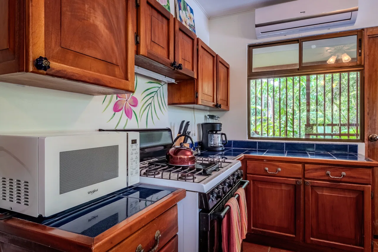 PROPERTY WITH OCEAN VIEW, IN ESCALERAS – 0.7 ACRES, photo 12
