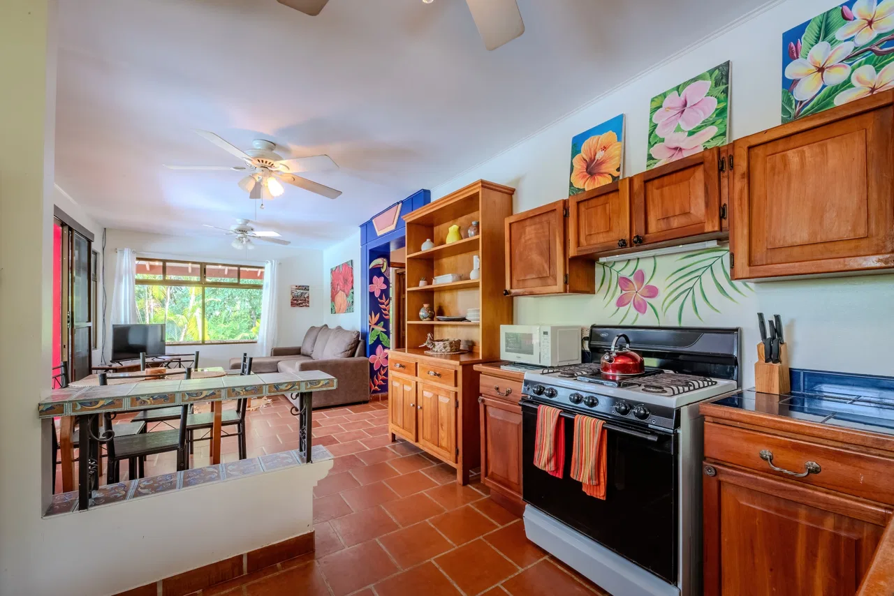 PROPERTY WITH OCEAN VIEW, IN ESCALERAS – 0.7 ACRES, photo 14
