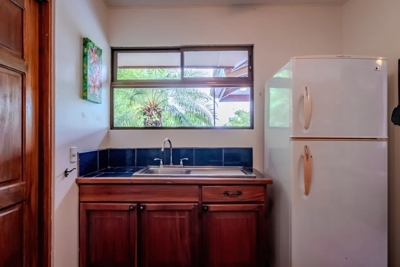 PROPERTY WITH OCEAN VIEW, IN ESCALERAS – 0.7 ACRES, photo 15
