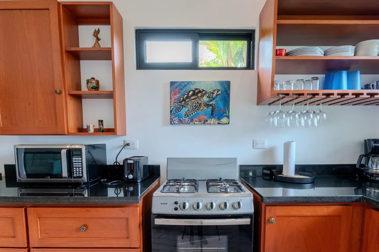 PROPERTY WITH OCEAN VIEW, IN ESCALERAS – 0.7 ACRES, photo 24