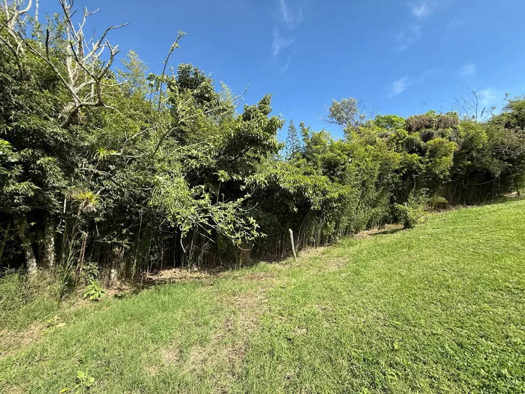 Development Opportunity Land for Sale, photo 2