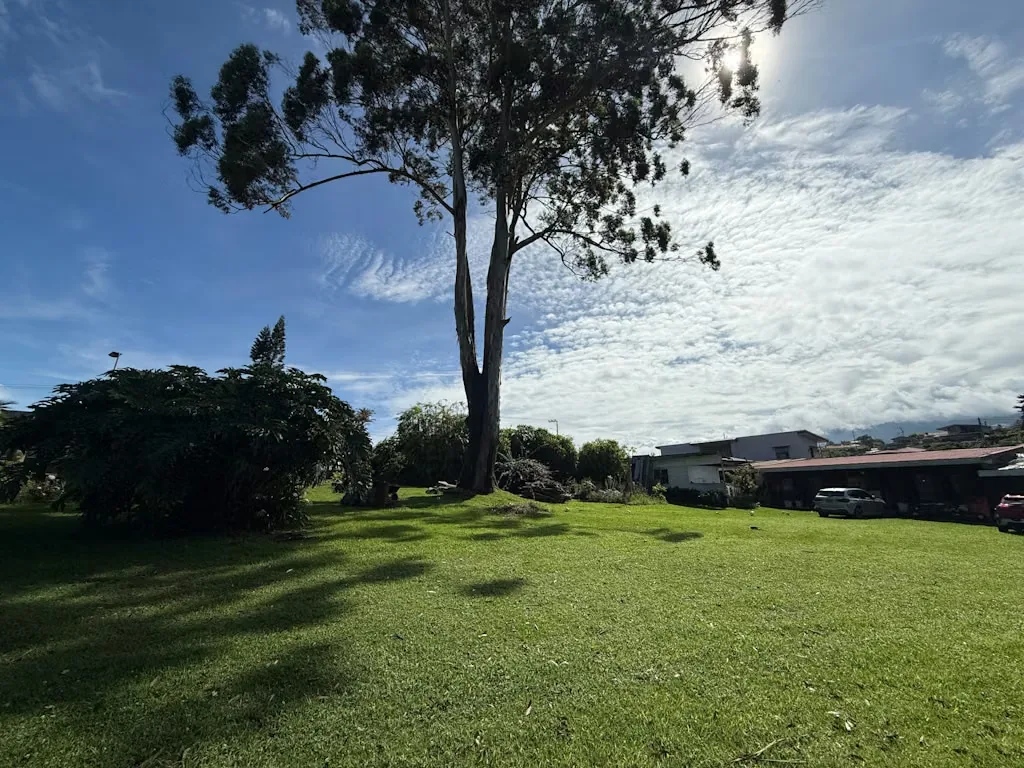 Development Opportunity Land for Sale, photo 12