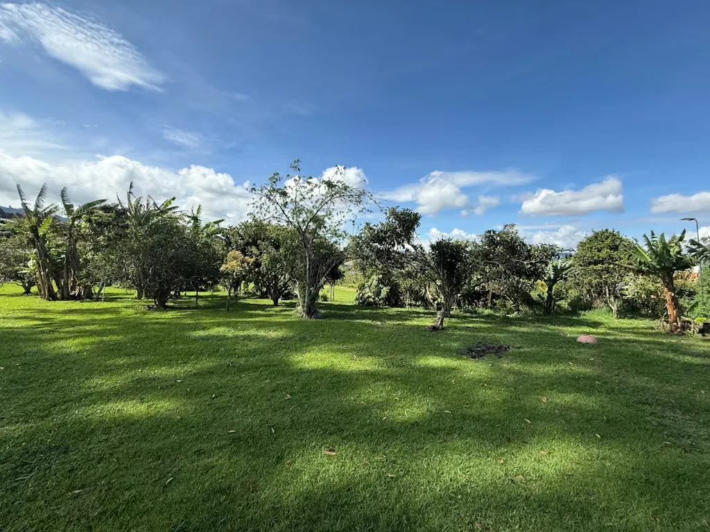 Development Opportunity Land for Sale, photo 13