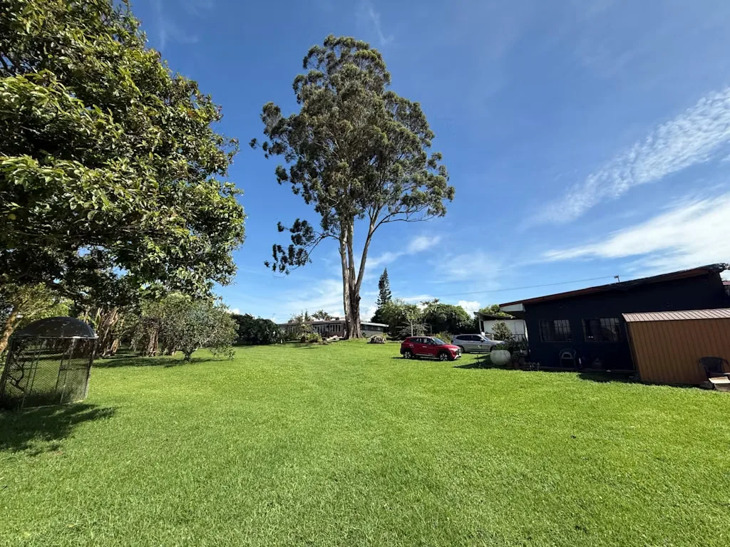 Development Opportunity Land for Sale, photo 5