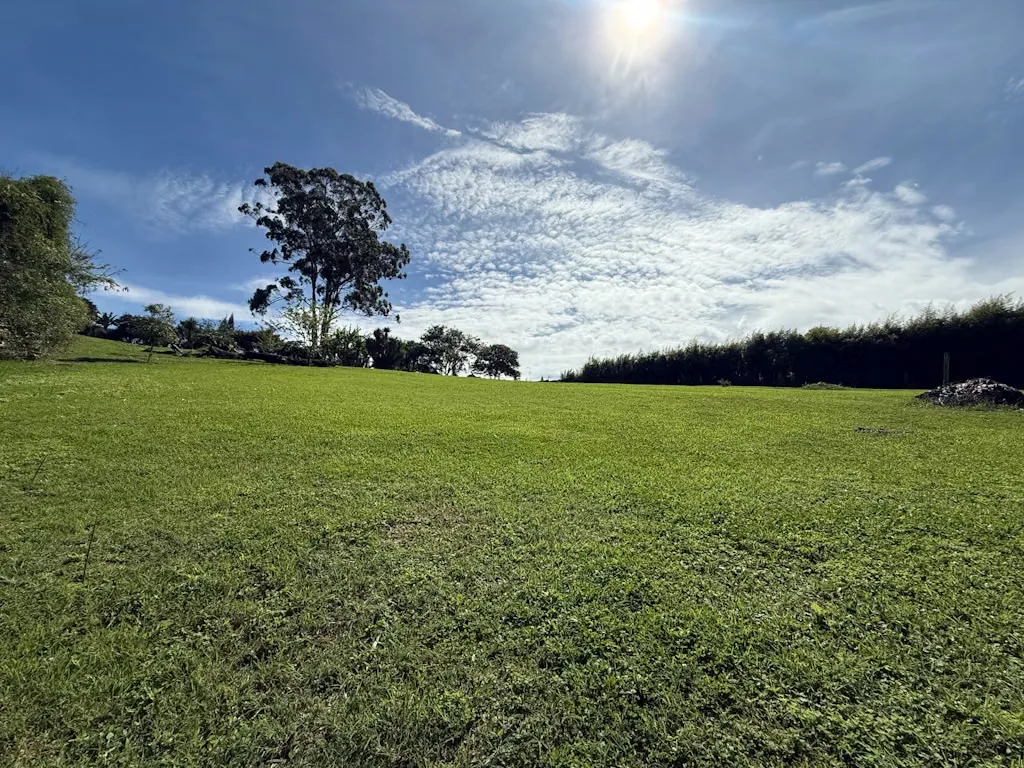 Development Opportunity Land for Sale, photo 9