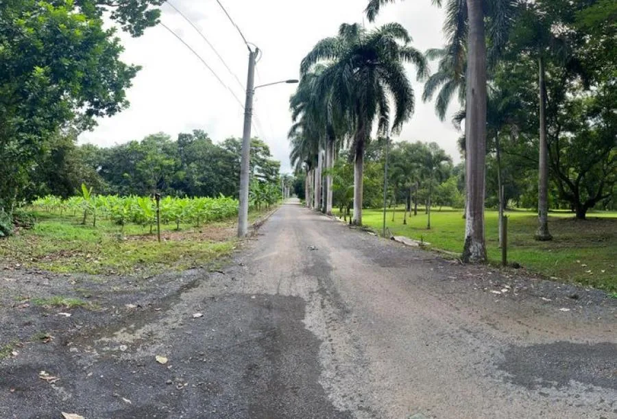 HERMOSO LOTE EN RISE SANTA ELENA, PÉREZ ZELEDÓN - Venta en Perez Zeledón, photo 13