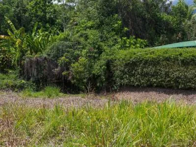 Listo para construir, lote céntrico de 0,38 acres en Ojochal con vistas a la montaña, photo 6