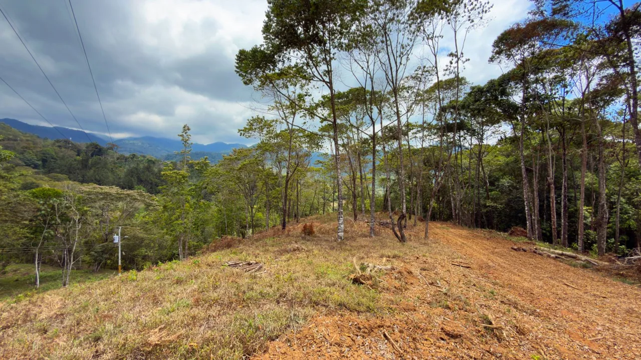 For Sale: Beautiful Mountain 969m2 Residential Lot in Quebradas - CR, photo 11