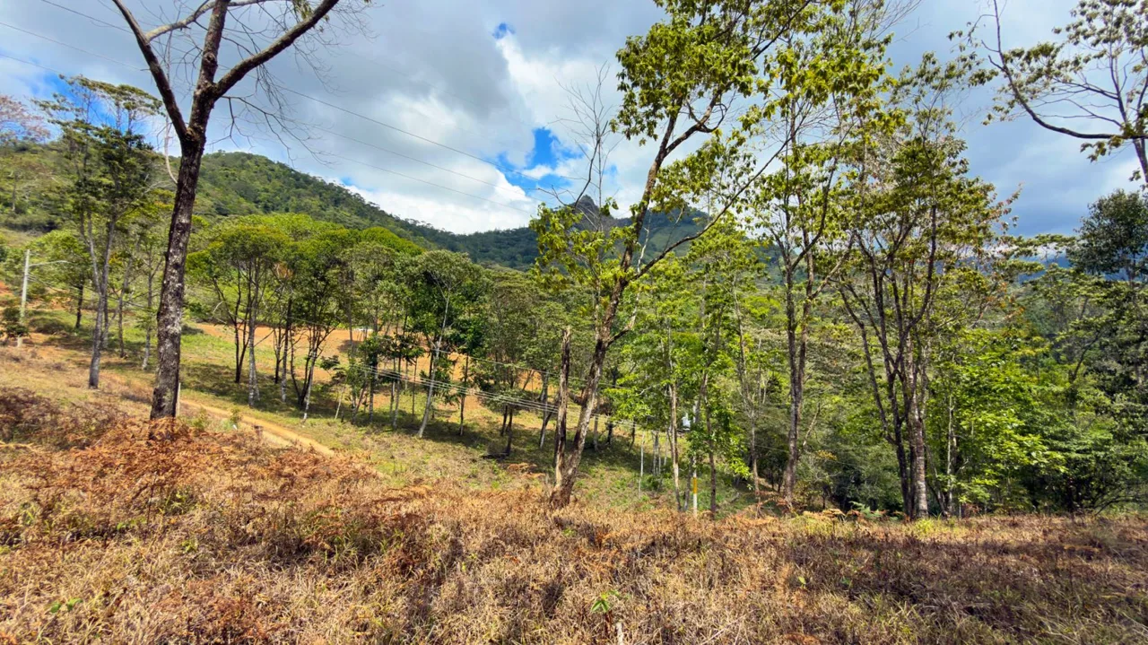 For Sale: Beautiful Mountain 969m2 Residential Lot in Quebradas - CR, photo 13
