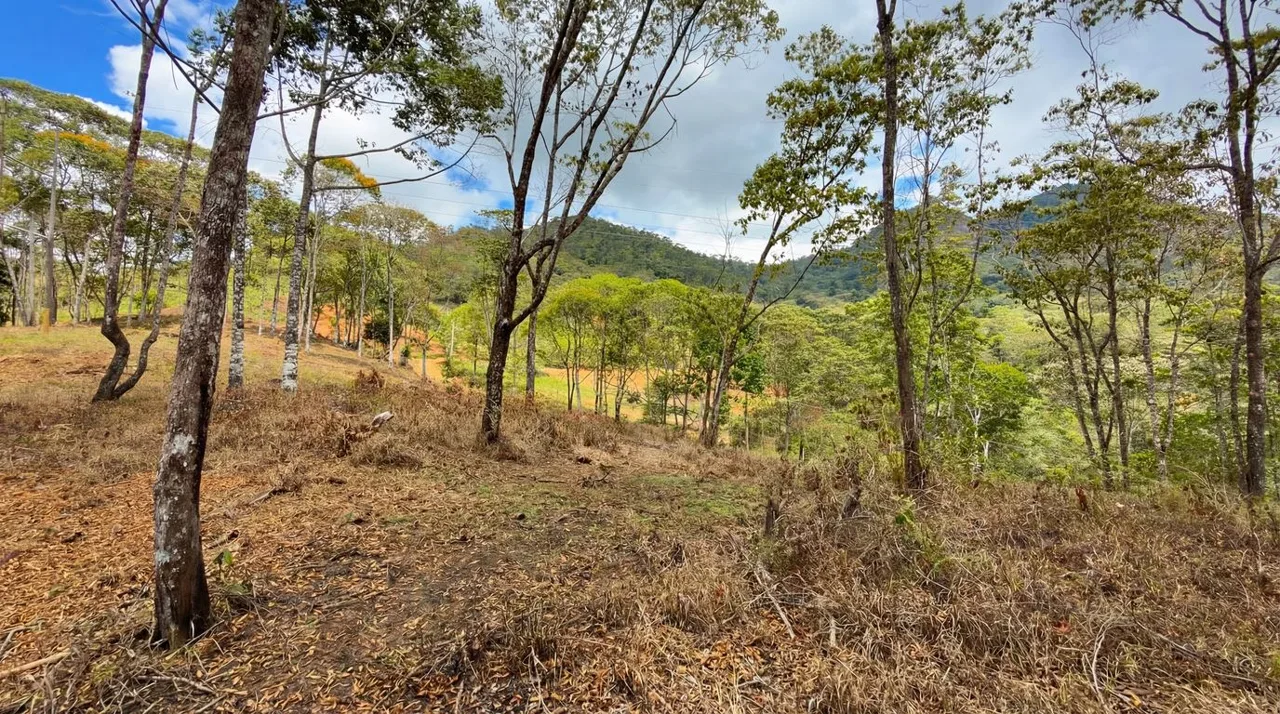 For Sale: Beautiful Mountain 969m2 Residential Lot in Quebradas - CR, photo 7