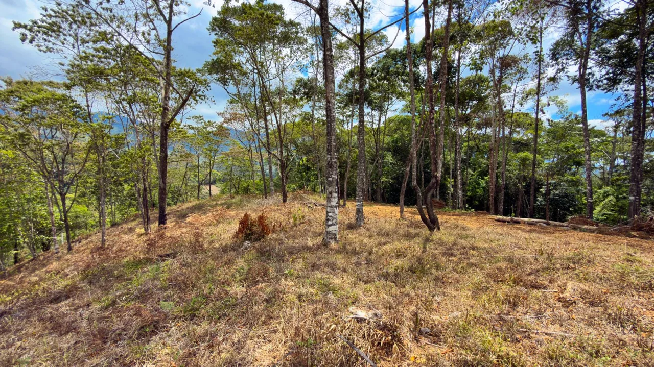 For Sale: Beautiful Mountain 969m2 Residential Lot in Quebradas - CR, photo 8