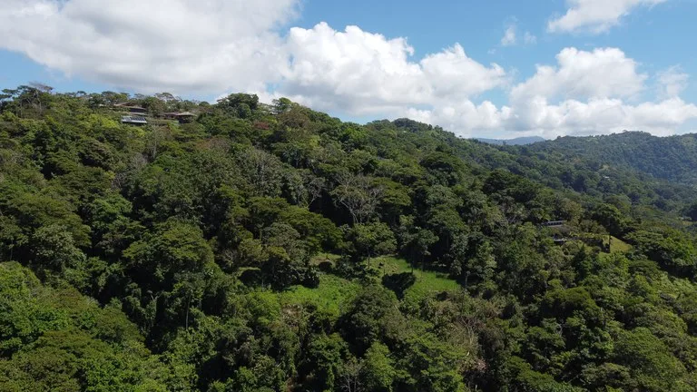 BUILDING PROPERTY WITH STELLAR OCEAN VIEWS, IN ESCALERAS – 5.8 ACRES, photo 33