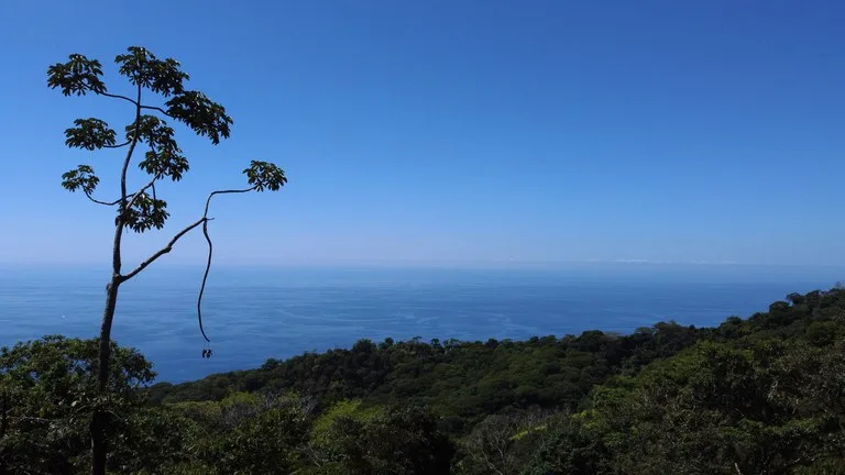 BUILDING PROPERTY WITH STELLAR OCEAN VIEWS, IN ESCALERAS – 5.8 ACRES, photo 27