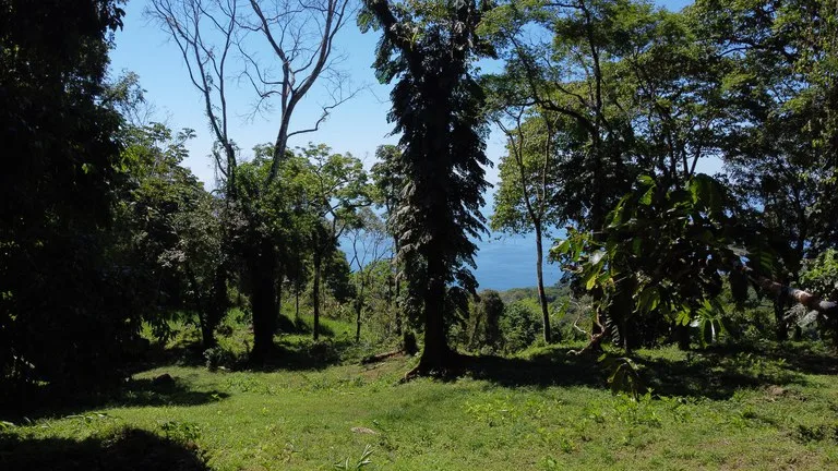 BUILDING PROPERTY WITH STELLAR OCEAN VIEWS, IN ESCALERAS – 5.8 ACRES, photo 28