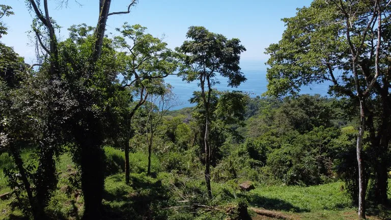 BUILDING PROPERTY WITH STELLAR OCEAN VIEWS, IN ESCALERAS – 5.8 ACRES, photo 29