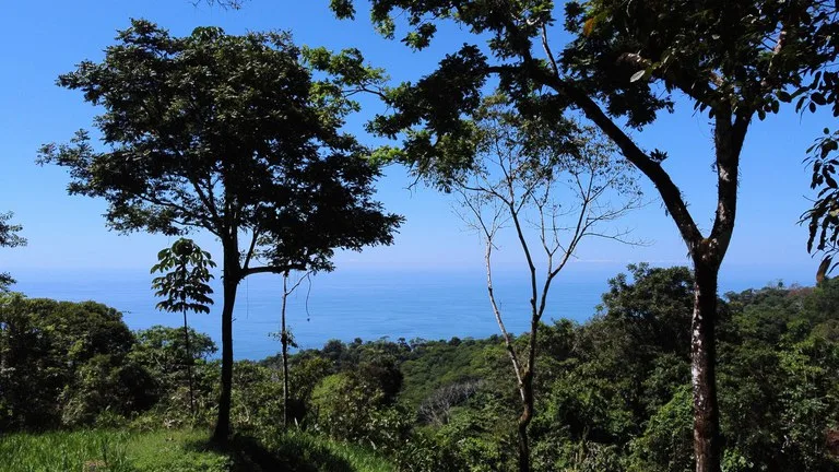 BUILDING PROPERTY WITH STELLAR OCEAN VIEWS, IN ESCALERAS – 5.8 ACRES, photo 30