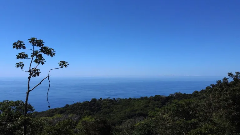 BUILDING PROPERTY WITH STELLAR OCEAN VIEWS, IN ESCALERAS – 5.8 ACRES, photo 31