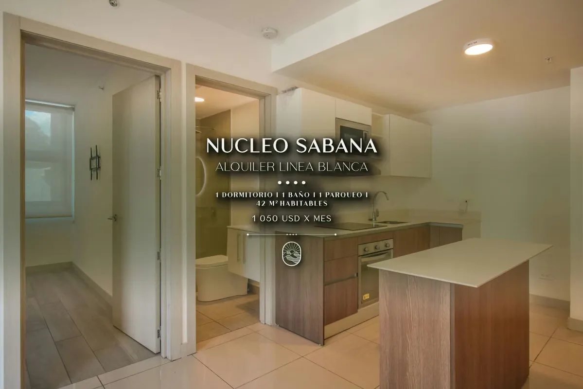 1 HAB APARTMENT FOR RENT IN THE CENTRE OF SPAIN - 124; THE APARTMENT, SAN JOSÉ