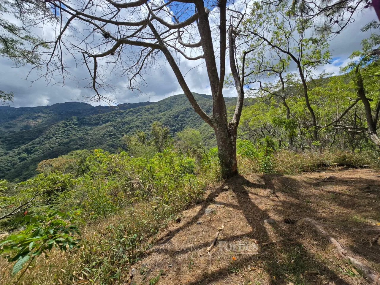 Lote Los Pinos - 5883 m² - Montaña del Sol