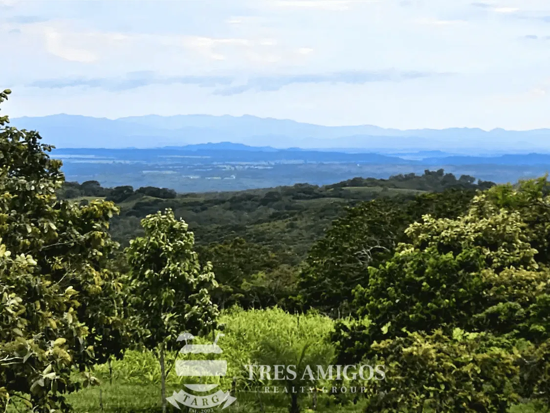 MOUNTAIN VIEW ECO-FARM, photo 20