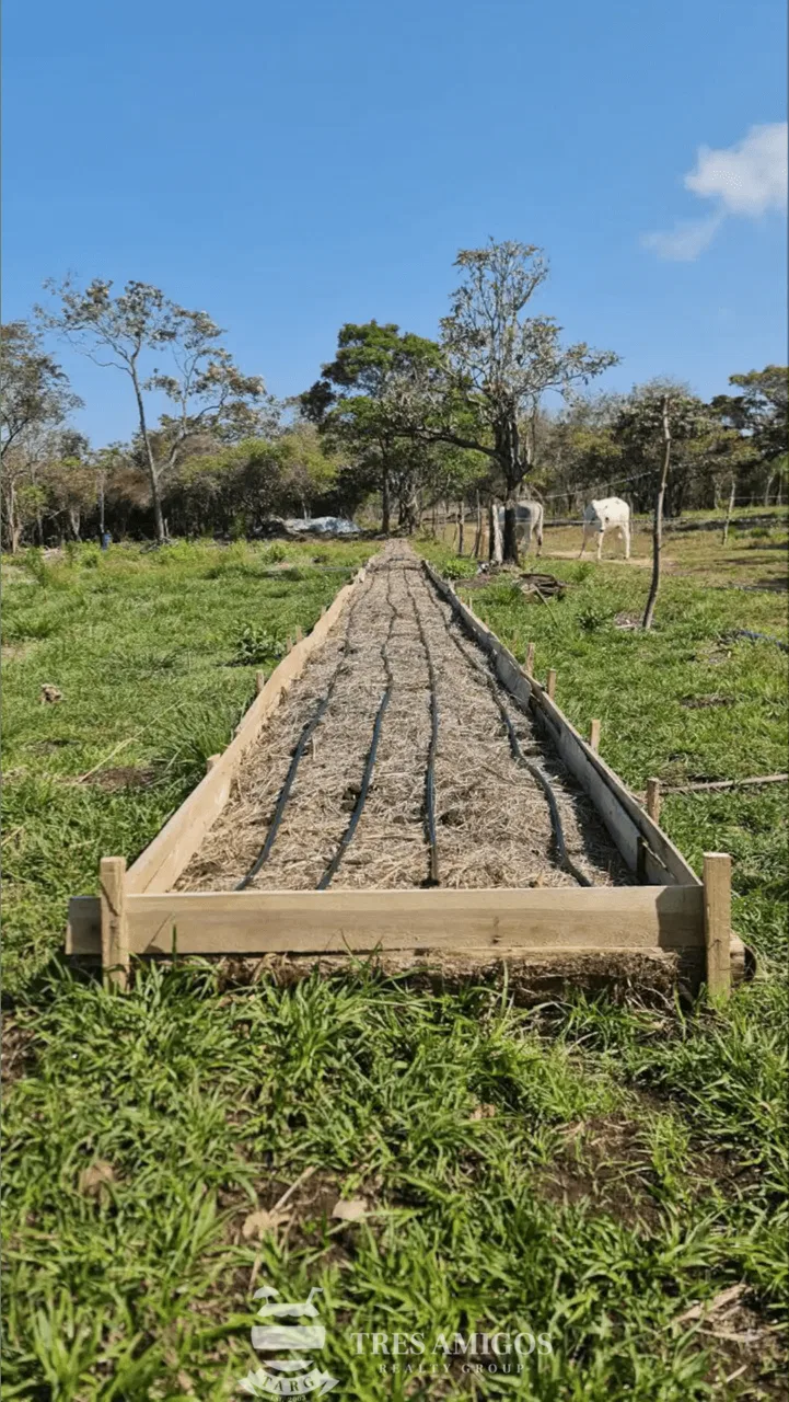 MOUNTAIN VIEW ECO-FARM, photo 10