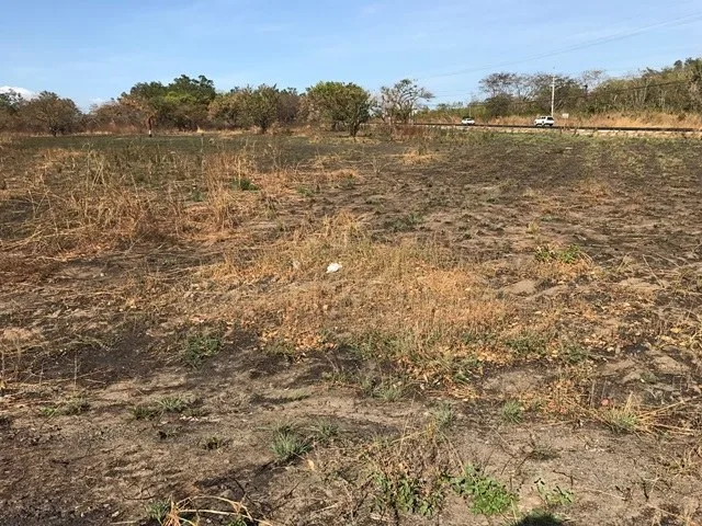 Development Parcel in Liberia