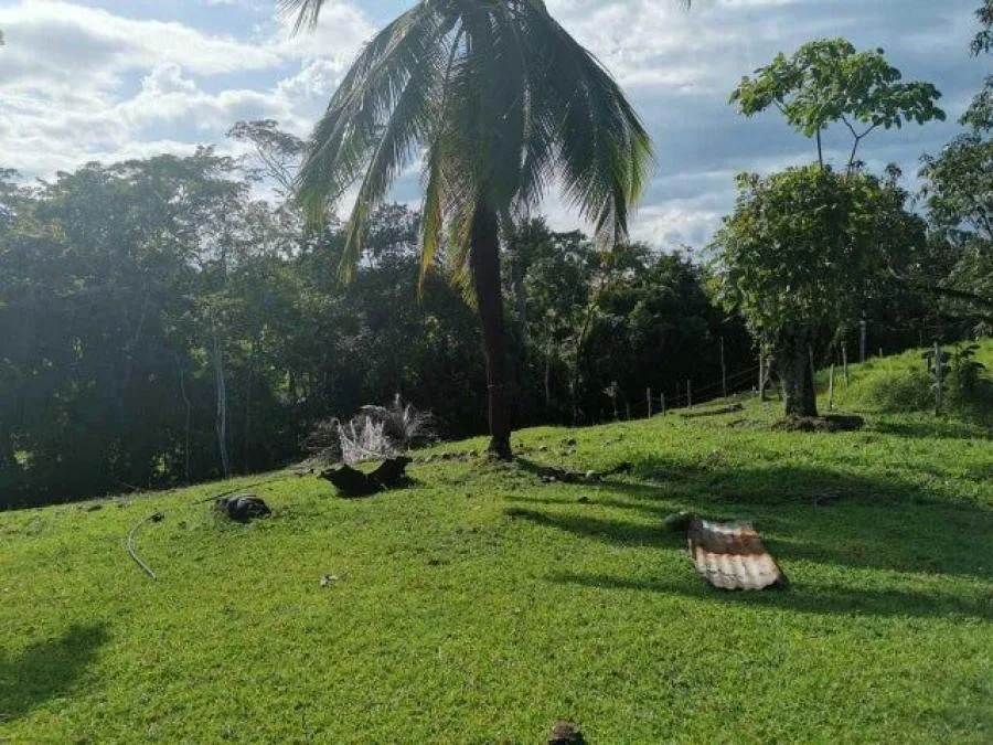Venta de Lote en San Carlos, Alajuela. - Venta en San Carlos
