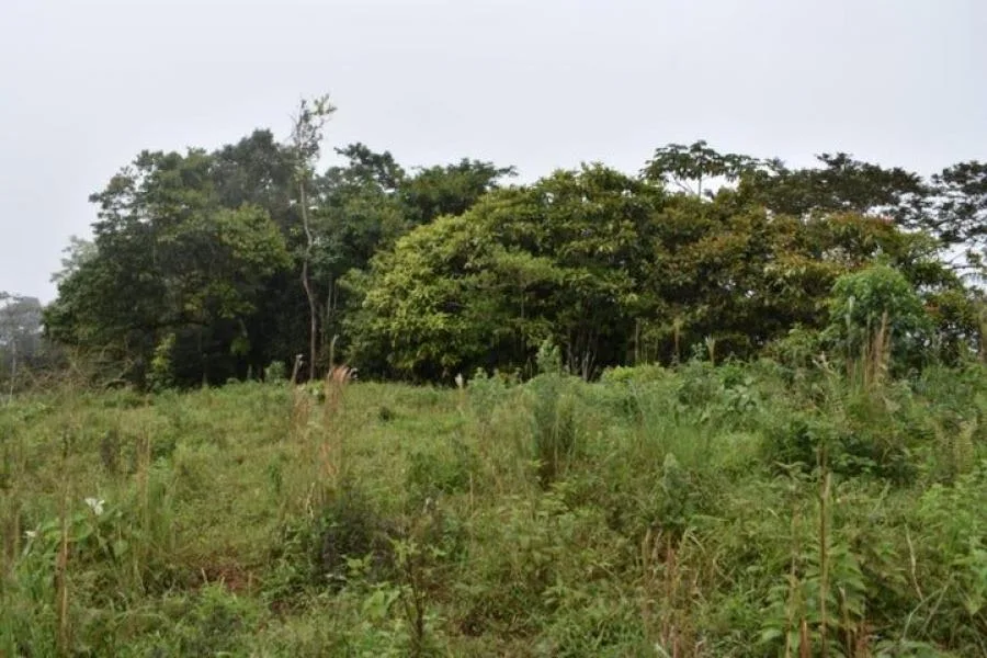 Venta de Lote en Escazú, San José. - Venta en Escazú, photo 7