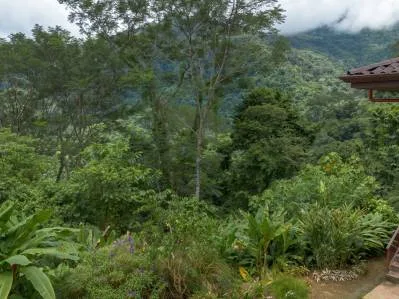 TWO FLOOR PROPERTY WITH A LANDSCAPING VIEWS AND OCEAN, IN TRES RIOS – 3.9 ACRES, photo 32